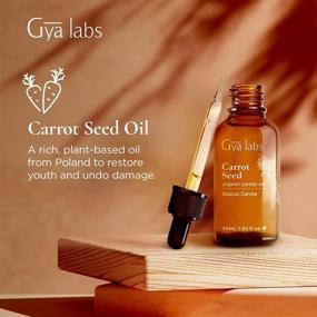 img 3 attached to Gya Labs Organic Carrot Seed Carrier Oil: Youthful Skin Savior (30ml)