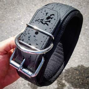 img 3 attached to 🐾 Bestia Dog Sport Collar: Ultra Heavy Duty, Stainless Steel, Waterproof & Padded!