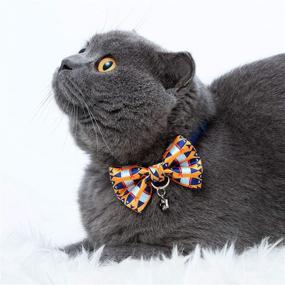 img 3 attached to Stylish Blueberry Pet Safety Breakaway Cat Collars: 18 Patterns featuring Handmade Bow Tie and Cute Charm