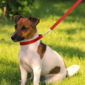 img 1 attached to 🐶 Nylon Dog Collar and Leash Set - Classic Solid Colors for TONDWIN Dogs