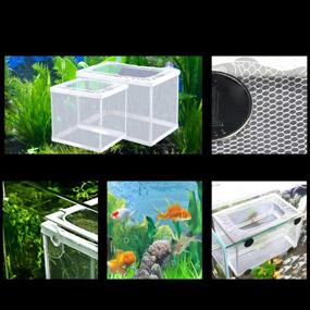 img 3 attached to 🐠 POPETPOP Fish Nursery - Premium Breeding Net Hang on Breeder Box - Large Size for Your Aquarium