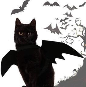 img 1 attached to 🦇 Halloween Bat Wings Pet Costume: Cat & Small Dog Apparel, Collar Cosplay Bat Costume - Pet Cat Costumes Online