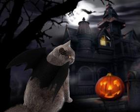 img 2 attached to 🦇 Halloween Bat Wings Pet Costume: Cat & Small Dog Apparel, Collar Cosplay Bat Costume - Pet Cat Costumes Online