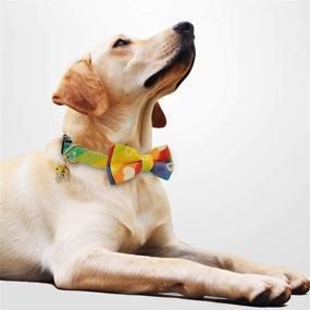 img 2 attached to Adjustable Dog Collars with Bow Tie and Bells Charm for Small/Medium/Large Dogs - KUDES Cute Pet Collars for Boys and Girls with Safety Buckle
