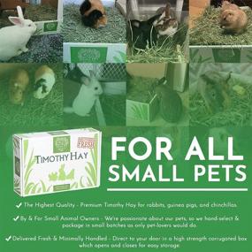img 1 attached to 🐇 Small Pet Select 2nd Cutting Perfect Blend Timothy Hay Pet Food: Nutritious and Premium Quality for Your Beloved Pets
