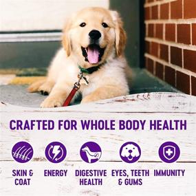 img 1 attached to 🐶 Wellness Complete Health Dry Puppy Food - Natural, Made in the USA, No Meat By-Products, Fillers, Artificial Flavors, or Preservatives, Enriched with Added Vitamins, Minerals, and Taurine