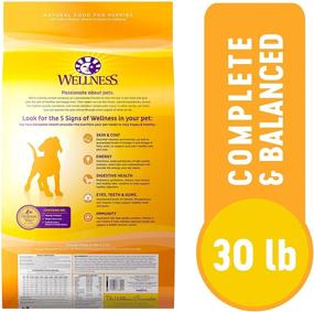 img 3 attached to 🐶 Wellness Complete Health Dry Puppy Food - Natural, Made in the USA, No Meat By-Products, Fillers, Artificial Flavors, or Preservatives, Enriched with Added Vitamins, Minerals, and Taurine