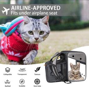 img 2 attached to 🐾 AONESY Deluxe Pet Carrier Backpack: Airline Approved, Ventilated Mesh, Ideal for Travel, Hiking & Outdoor Use