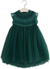 img 3 attached to Girls' Colorful Multi-Layered Tulle and Lace Dress for Princess Wedding, Birthday Party, and Tutu Theme