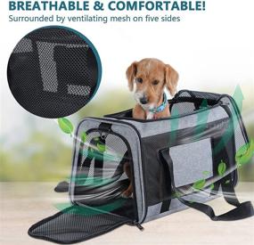 img 1 attached to High Capacity Lightweight Washable Soft-Sided Pet Travel Carrier for Puppies/Kittens/Bunny - Petsfit Most Airline Approved Cat Carrier Dog Carriers with 5-Sided Breathable Mesh and Self-Lock Zippers