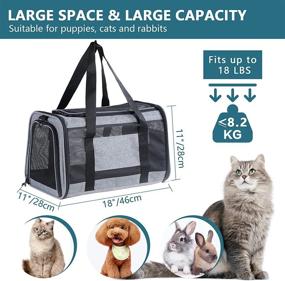 img 3 attached to High Capacity Lightweight Washable Soft-Sided Pet Travel Carrier for Puppies/Kittens/Bunny - Petsfit Most Airline Approved Cat Carrier Dog Carriers with 5-Sided Breathable Mesh and Self-Lock Zippers