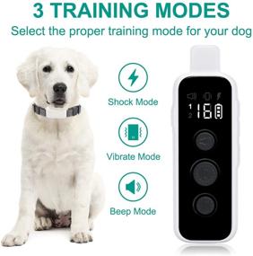 img 3 attached to 🐶 Lu&Ba Dog Shock Collar with Remote: 2 Dogs Training Modes, Rechargeable & Waterproof Collar for Small Medium Large Dogs