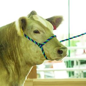 img 1 attached to Weaver Leather Rope Cow Halter: Durable and Reliable for Effective Cow Handling