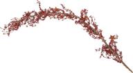 🌟 cwi gifts pip berry and star garland, 40-inch, burgundy: rustic decor for your home logo