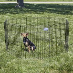 img 3 attached to 🐶 Foldable Metal Dog Exercise Pen / Pet Playpen by MidWest