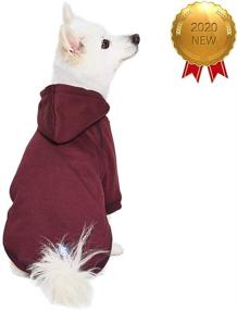 img 3 attached to 🐶 Blueberry Pet Basics: Soft & Cozy Dog Hoodie Sweatshirts in 4 Color Options