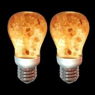 💡 himalayan glow 60-watt salt light bulb, pack of 2, set of 2 логотип