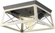 💡 briarwood collection: whitewashed farmhouse flush mount ceiling light – two-light stylish illumination logo