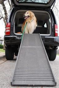img 2 attached to Convenient and Versatile Folding Pet Ramp: 🐾 PetSTEP Original – Ideal for Pets of All Sizes