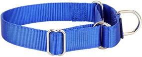 img 4 attached to Alainzeo Martingale Dog Collar - Durable Nylon Collar for Dogs