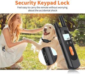 img 1 attached to 🐶 Waterproof Rechargeable Dog Training Collar - 2600Ft Remote Range, Vibration, Beep, Shock Modes, Adjustable Levels - Complete Dog Training Set