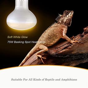 img 2 attached to 🔆 2-Pack of 75W Reptile Infrared Heat Lamps with UVA, Basking Spot Bulbs – Soft White Light for Lizard, Tortoise, Bearded Dragon, Hedgehog, Reptiles, and Amphibians