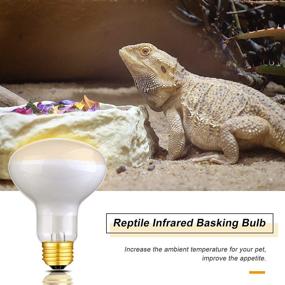 img 1 attached to 🔆 2-Pack of 75W Reptile Infrared Heat Lamps with UVA, Basking Spot Bulbs – Soft White Light for Lizard, Tortoise, Bearded Dragon, Hedgehog, Reptiles, and Amphibians