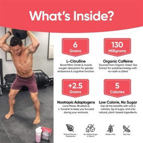 img 3 attached to 🏋️ Tattle Natural Pre-Workout Powder: Boost Focus, Stamina, and Energy Naturally with Nootropics, Nitric Oxide & Organic Caffeine - Berry Hibiscus Flavor, Monk Fruit Sweetened, 30 Serves