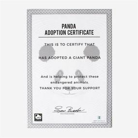 img 1 attached to Adopt a Panda Gift Box by Gift Republic