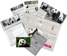 img 2 attached to Adopt a Panda Gift Box by Gift Republic