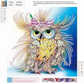 img 1 attached to Special Shaped Owl Diamond Painting Kit - Handmade DIY Diamond Drawing for Adults - 11.8 X 11.8in - Amazing Owl Diamond Painting Art