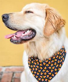 img 1 attached to 🐾 Ginmewrae 2 Pack Halloween Dog Bandana Triangle Bibs Scarf Accessories: Spook up your Pup's Style!