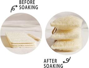 img 3 attached to 🌿 Natural Loofah Kitchen Dish Sponges Scrubber (6Pack): Non-Scratch Eco-Friendly Cleaning Sponge Set