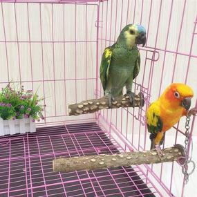 img 2 attached to 🦜 PINVNBY Wood Parrot Perch: Natural Prickly Bird Cage Stand for Small-Medium Birds - Pack of 5