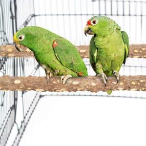 img 3 attached to 🦜 PINVNBY Wood Parrot Perch: Natural Prickly Bird Cage Stand for Small-Medium Birds - Pack of 5