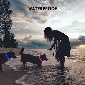 img 1 attached to 🐶 Rechargeable LED Dog Collar - Waterproof Light-Up Collars for Night Walking, Adjustable & Safe Necklace for Small Medium Large Dogs (Pink)