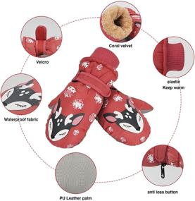 img 3 attached to 🧤 Miaowoof Toddler Waterproof Thinsulate Mittens: Essential Cold Weather Accessories for Boys