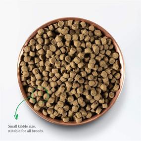 img 2 attached to 🌾 Premium Open Farm Ancient Grains Dry Dog Food: Humanely Raised Meat Recipe with Wholesome Grains, Free from Artificial Flavors or Preservatives