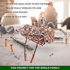 img 2 attached to 🕷️ Wood Trick Mechanical Spider Wooden: Intricate, Interactive and Eco-Friendly