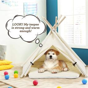 img 1 attached to Tangkula Pet Teepee, Portable 33 Inch Pet House with Stable Structure for Puppy Cat Rabbit, washable Indoor Outdoor Pet Sleep Bed Luxury Cozy Cave- Beige