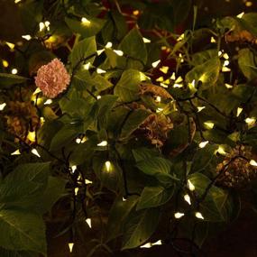 img 3 attached to Twinkle Star Outdoor String Lights: 200 LED 66ft Christmas Lights with 8 Lighting Modes - Warm White Fairy Lights for Indoor and Outdoor Decorations - Perfect for Christmas Tree, Wedding, Party, Garden and Wreath