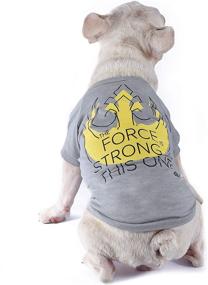 img 2 attached to 🐶✨ Star Wars for Pets: Embrace the Force with The Force is Strong with This One Dog Tee!