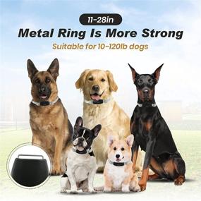 img 2 attached to 🐶 Arbirio Electronic Dog Training Collar: Remote, Rechargeable, Waterproof, 3 Modes - Beep Vibration Shock - 1500ft Range - Adjustable for 10-120lb Dogs