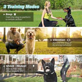 img 3 attached to 🐶 Arbirio Electronic Dog Training Collar: Remote, Rechargeable, Waterproof, 3 Modes - Beep Vibration Shock - 1500ft Range - Adjustable for 10-120lb Dogs