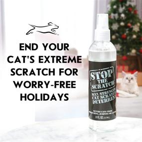 img 2 attached to 🐱 EBPP Stop The Scratch Cat Spray Deterrent: Non-Toxic Solution for Cats & Kittens - Protect Your Plants, Furniture, Floors & More with Rosemary Oil and Lemongrass