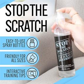 img 3 attached to 🐱 EBPP Stop The Scratch Cat Spray Deterrent: Non-Toxic Solution for Cats & Kittens - Protect Your Plants, Furniture, Floors & More with Rosemary Oil and Lemongrass