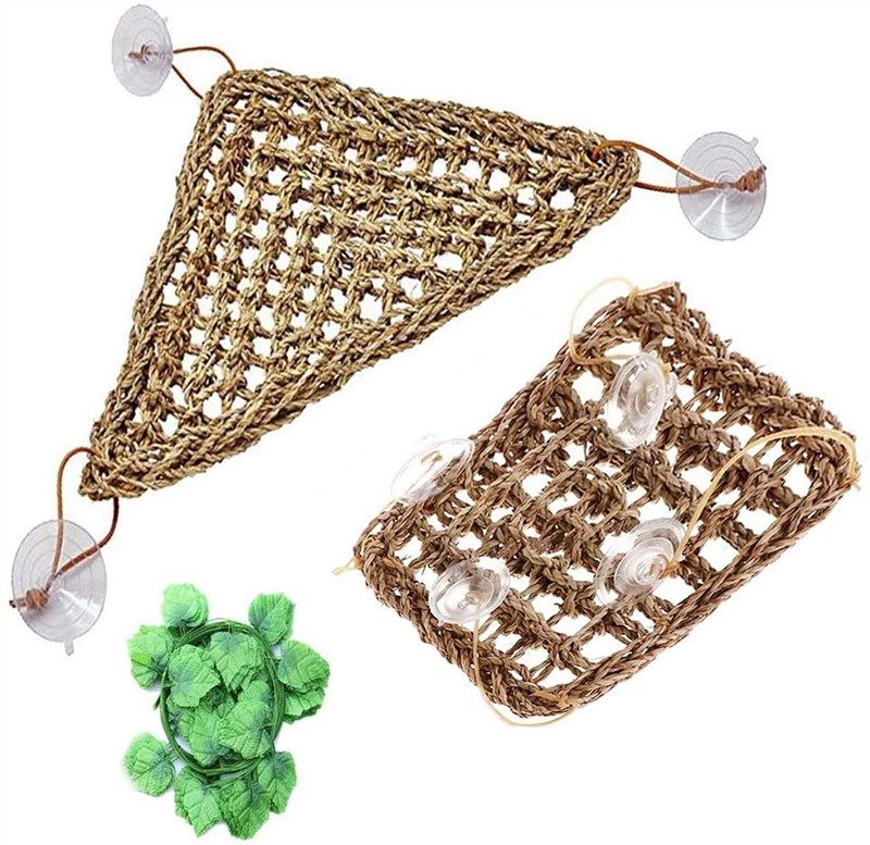 tfwadmx climbing seagrass reptiles triangular 로고