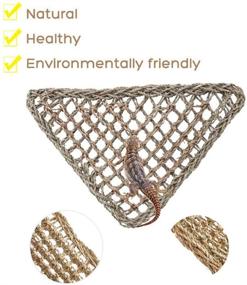 img 2 attached to 🦎 2 Pack Bearded Dragon Hammock - Reptile Climbing Decor - Lizard Lounger - 100% Natural Seagrass Fabric Hammock for Reptiles - Geckos, Anoles, Iguanas, Hermit Crabs - Triangular