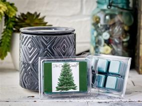 img 1 attached to 🎄 The Candle Daddy Pine Tree Blue Spruce Pine Christmas Tree Scented Wax Melt - 2 oz - 6 Cubes - 1 Pack