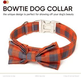 img 3 attached to Timos Collars Bowtie Adjustable Collar